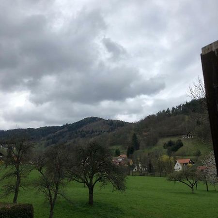 Petit Week End Dans La Vallee Breitenbach-Haut-Rhin 外观 照片