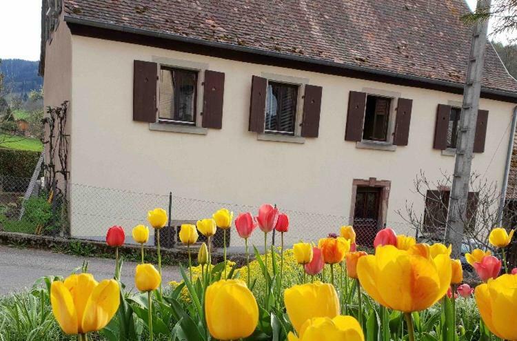 Petit Week End Dans La Vallee Breitenbach-Haut-Rhin 外观 照片
