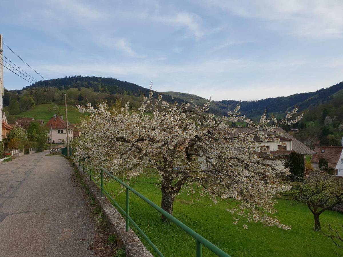 Petit Week End Dans La Vallee Breitenbach-Haut-Rhin 外观 照片