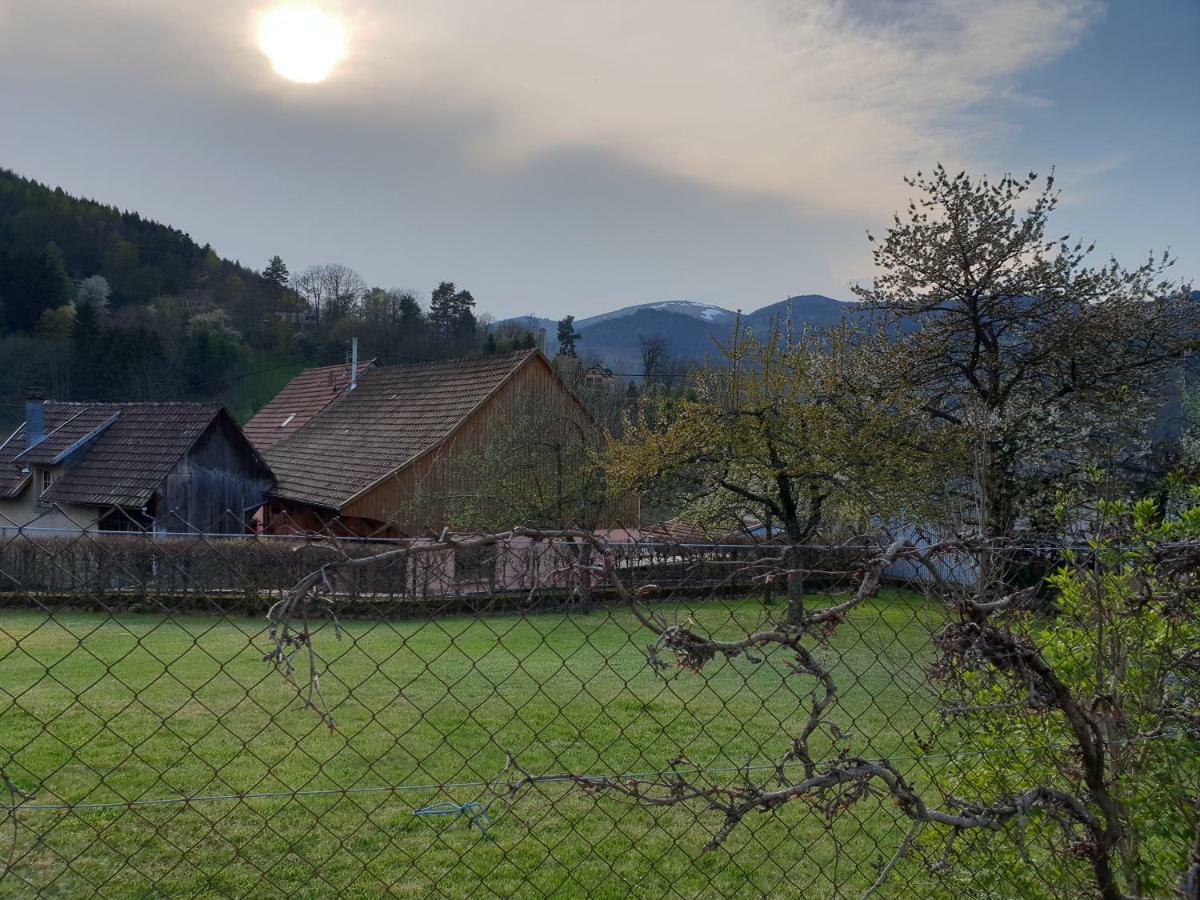 Petit Week End Dans La Vallee Breitenbach-Haut-Rhin 外观 照片