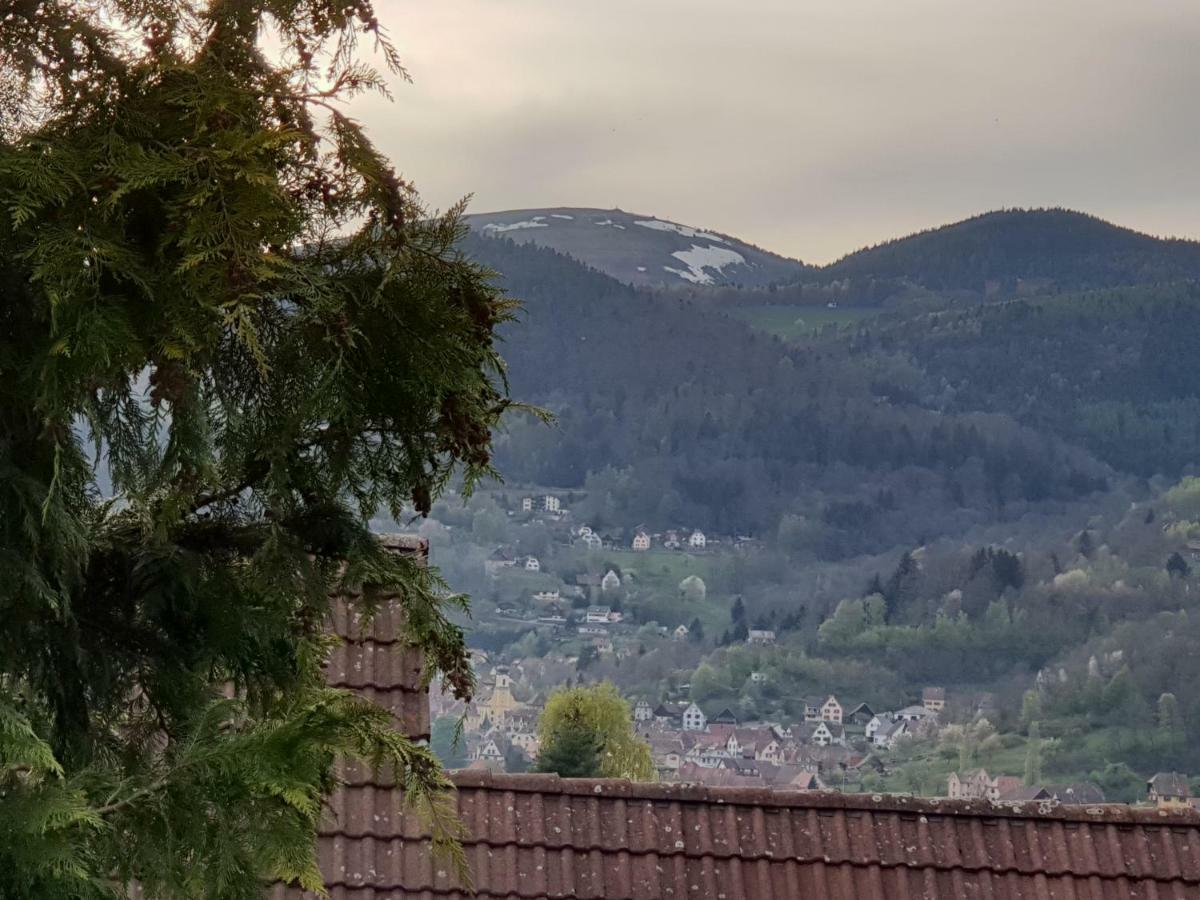 Petit Week End Dans La Vallee Breitenbach-Haut-Rhin 外观 照片