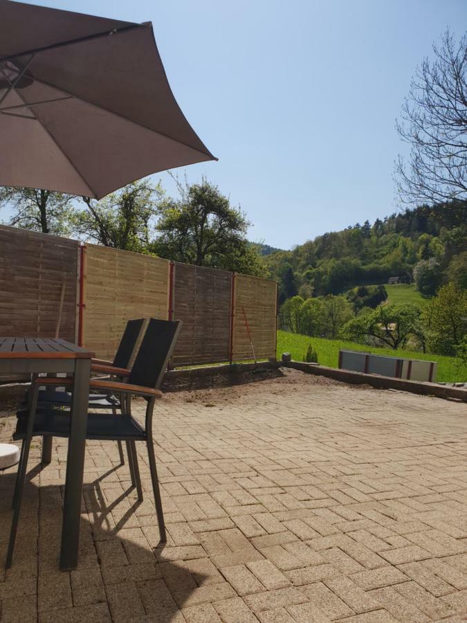 Petit Week End Dans La Vallee Breitenbach-Haut-Rhin 外观 照片