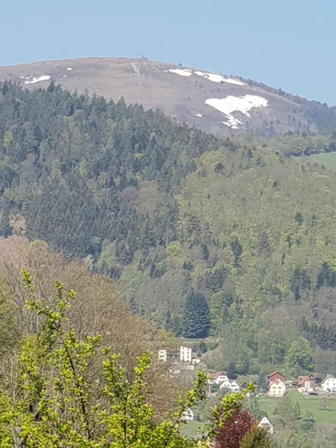 Petit Week End Dans La Vallee Breitenbach-Haut-Rhin 外观 照片