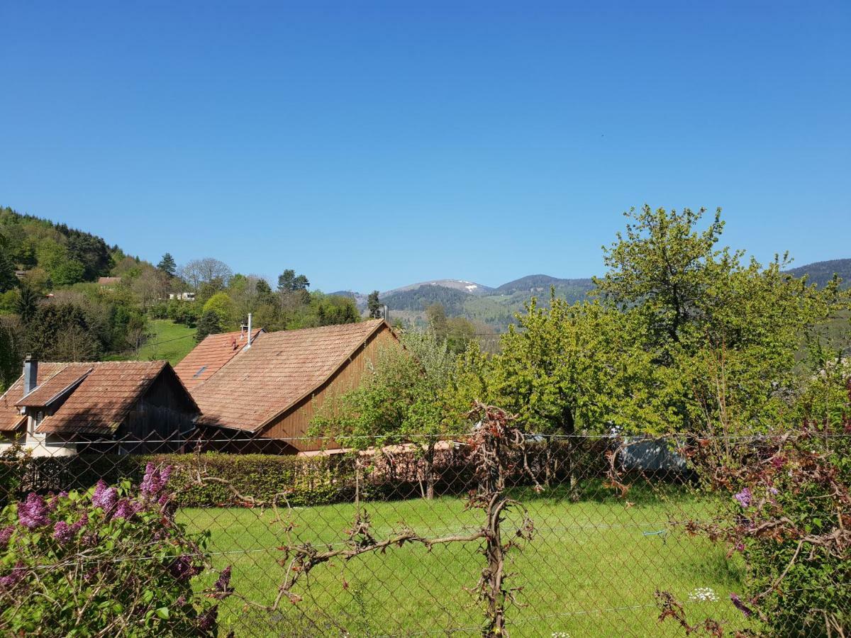 Petit Week End Dans La Vallee Breitenbach-Haut-Rhin 外观 照片