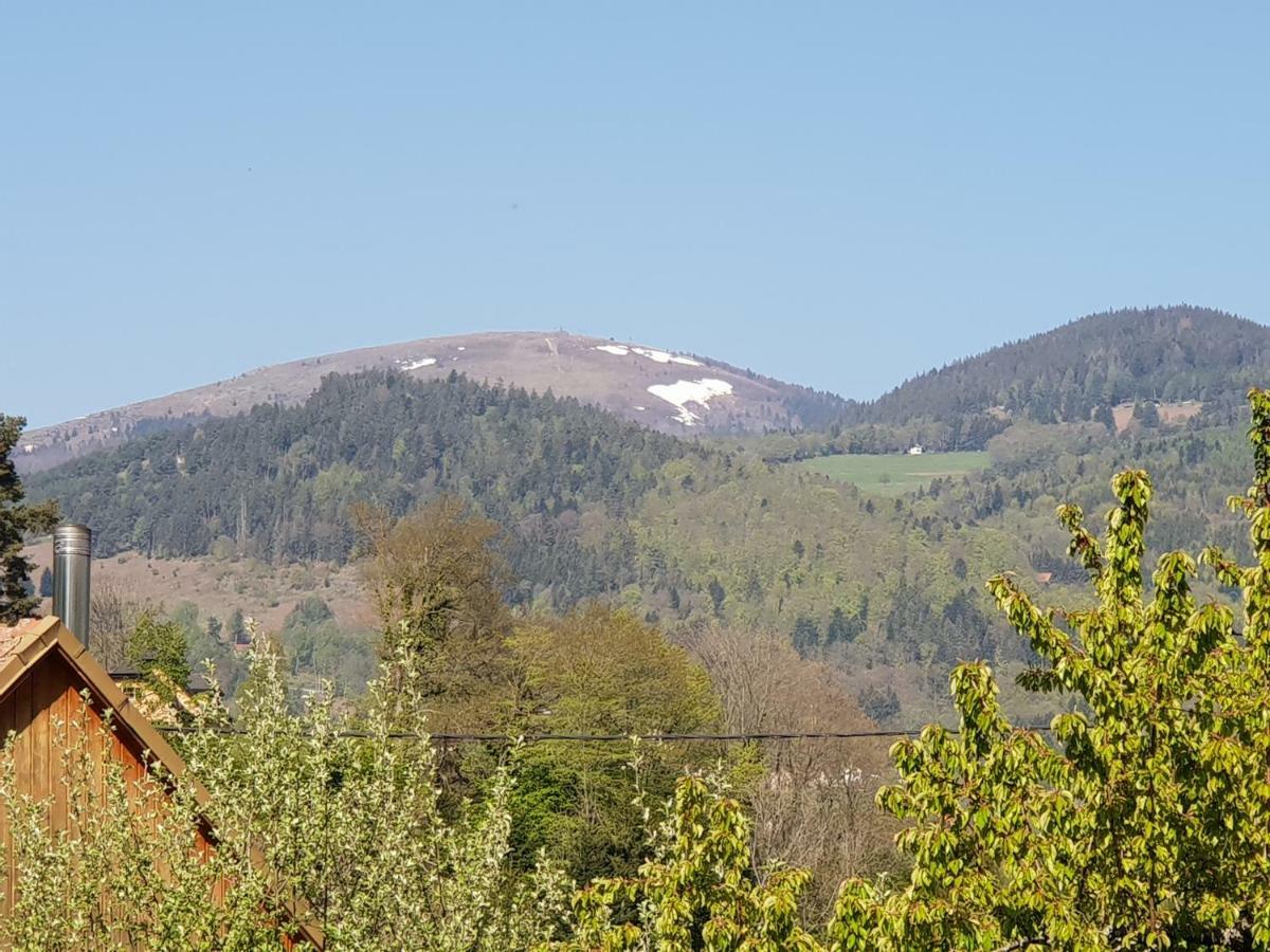 Petit Week End Dans La Vallee Breitenbach-Haut-Rhin 外观 照片
