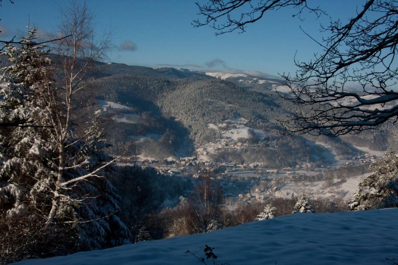 Petit Week End Dans La Vallee Breitenbach-Haut-Rhin 外观 照片