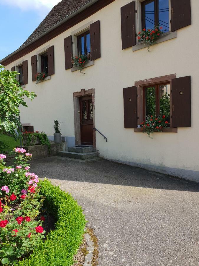 Petit Week End Dans La Vallee Breitenbach-Haut-Rhin 外观 照片