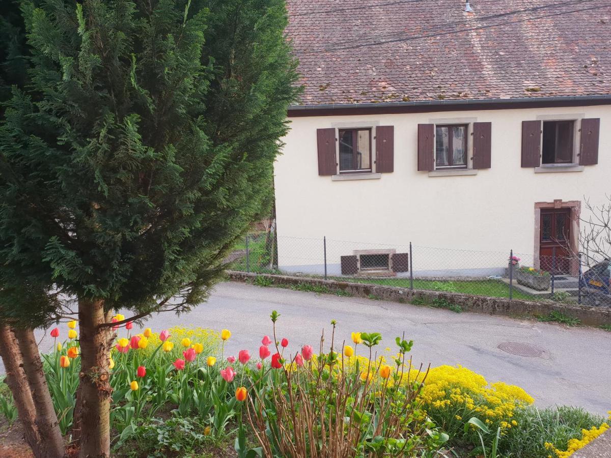 Petit Week End Dans La Vallee Breitenbach-Haut-Rhin 外观 照片